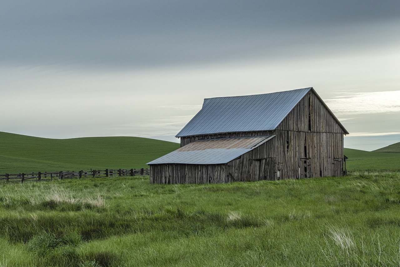 Eco-Friendly Fertilizers - Are They Worth the Investment?
